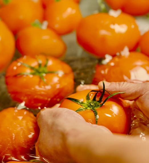 Fresh, quality ingredients