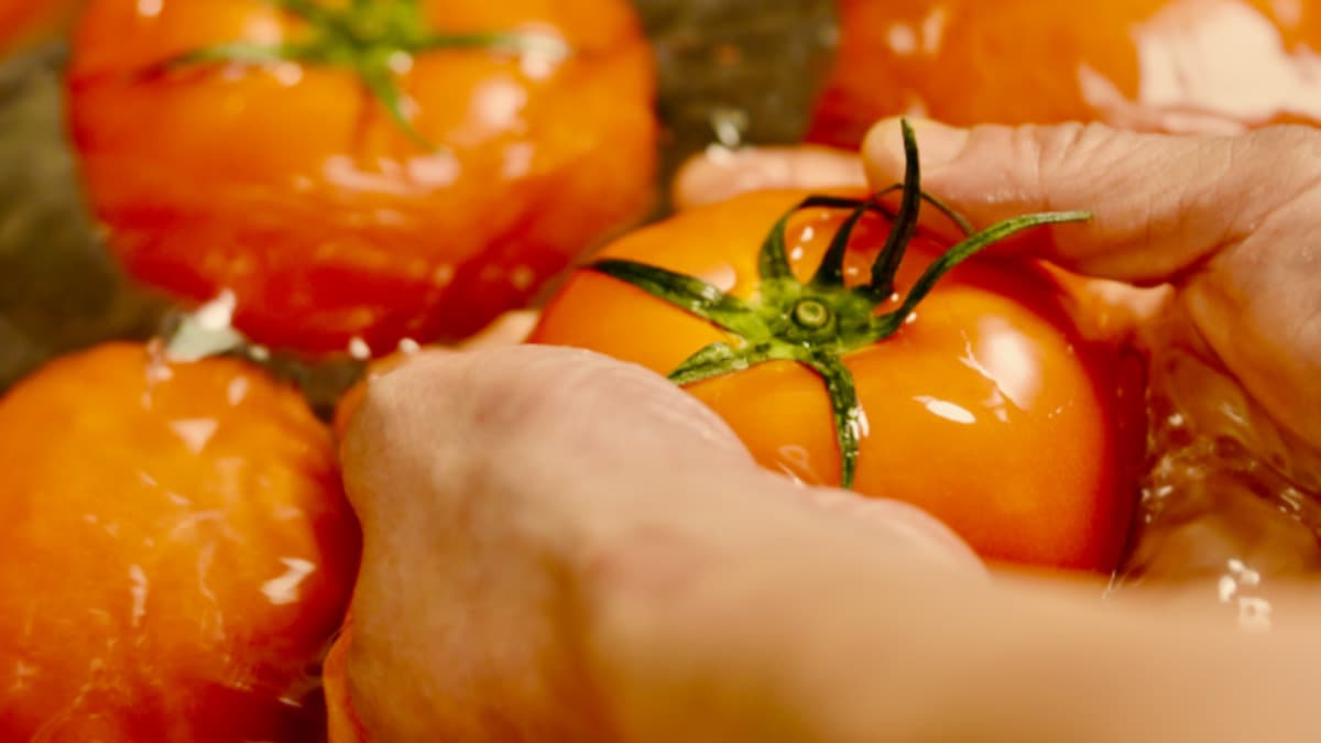 Fresh locally sourced ingredients
